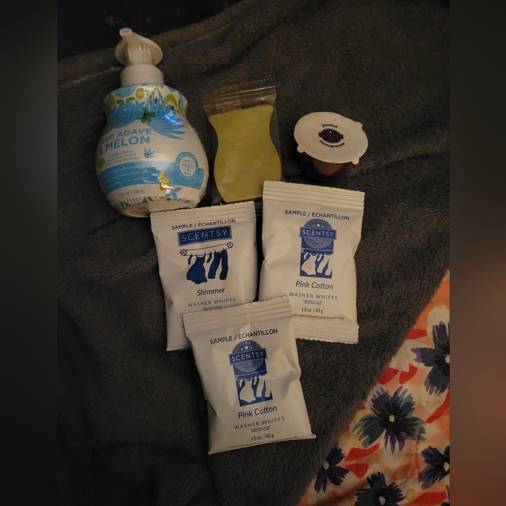 Scentsy Fragrance extras